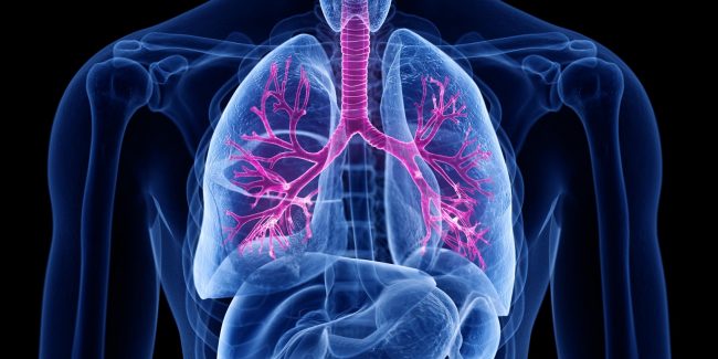 什么是慢性阻塞性肺病 (Chronic Obstructive Pulmonary Disease)，為何與新冠疫情有關？